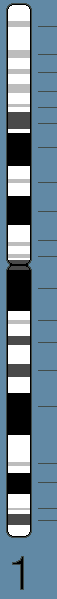chr1